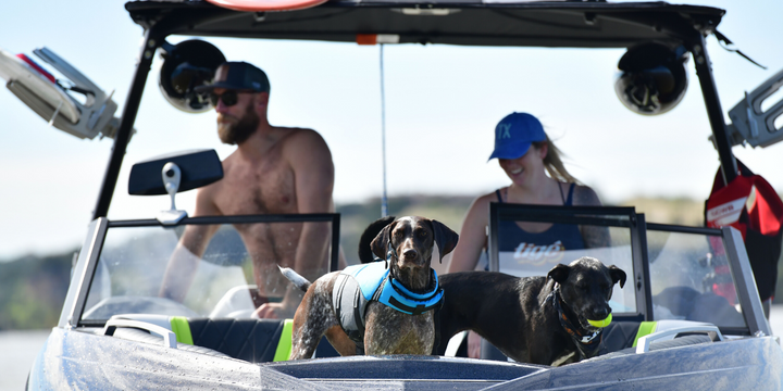 people on wakesurf boat with dogs